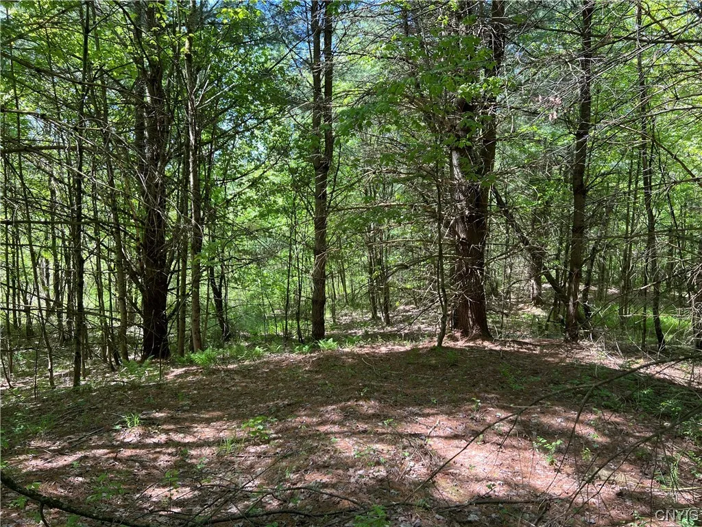5219 Rome Taberg Road, Rome-outside, New York 1344, Rome, New York 13440, ,Land,For Sale,5219 Rome Taberg Road, Rome-outside, New York 1344,0,S1448727 5219 Rome Taberg Road, Rome-outside, New York 1344, Rome, New York 13440, ,Land,For Sale,5219 Rome Taberg Road, Rome-outside, New York 1344,0,S1448727