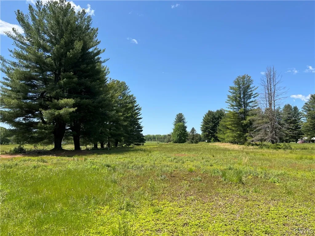 5219 Rome Taberg Road, Rome-outside, New York 1344, Rome, New York 13440, ,Land,For Sale,5219 Rome Taberg Road, Rome-outside, New York 1344,0,S1448727 5219 Rome Taberg Road, Rome-outside, New York 1344, Rome, New York 13440, ,Land,For Sale,5219 Rome Taberg Road, Rome-outside, New York 1344,0,S1448727