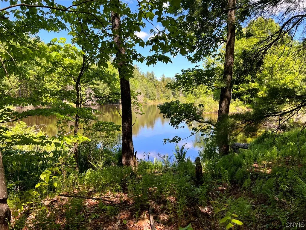 5219 Rome Taberg Road, Rome-outside, New York 1344, Rome, New York 13440, ,Land,For Sale,5219 Rome Taberg Road, Rome-outside, New York 1344,0,S1448727 5219 Rome Taberg Road, Rome-outside, New York 1344, Rome, New York 13440, ,Land,For Sale,5219 Rome Taberg Road, Rome-outside, New York 1344,0,S1448727