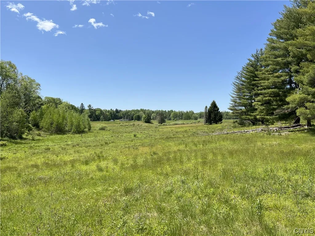 5219 Rome Taberg Road, Rome-outside, New York 1344, Rome, New York 13440, ,Land,For Sale,5219 Rome Taberg Road, Rome-outside, New York 1344,0,S1448727 5219 Rome Taberg Road, Rome-outside, New York 1344, Rome, New York 13440, ,Land,For Sale,5219 Rome Taberg Road, Rome-outside, New York 1344,0,S1448727