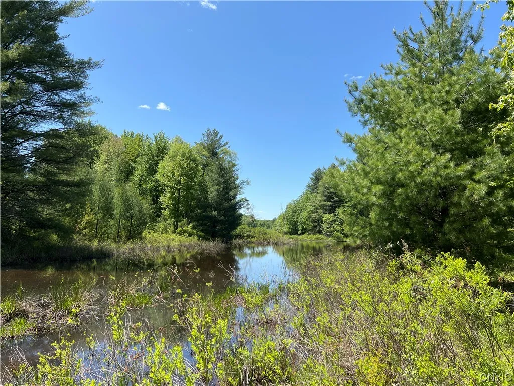 5219 Rome Taberg Road, Rome-outside, New York 1344, Rome, New York 13440, ,Commercial Sale,For Sale,5219 Rome Taberg Road, Rome-outside, New York 1344,0,S1448822 5219 Rome Taberg Road, Rome-outside, New York 1344, Rome, New York 13440, ,Commercial Sale,For Sale,5219 Rome Taberg Road, Rome-outside, New York 1344,0,S1448822