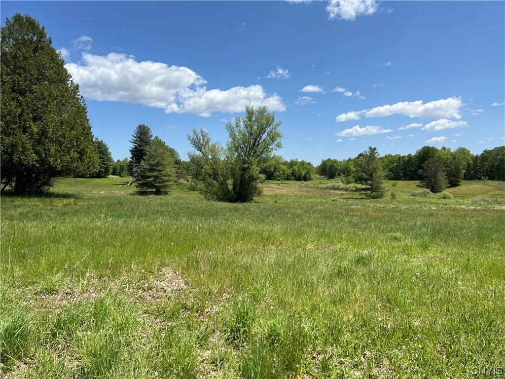 5219 Rome Taberg Road, Rome-outside, New York 1344, Rome, New York 13440, ,Commercial Sale,For Sale,5219 Rome Taberg Road, Rome-outside, New York 1344,0,S1448822 5219 Rome Taberg Road, Rome-outside, New York 1344, Rome, New York 13440, ,Commercial Sale,For Sale,5219 Rome Taberg Road, Rome-outside, New York 1344,0,S1448822