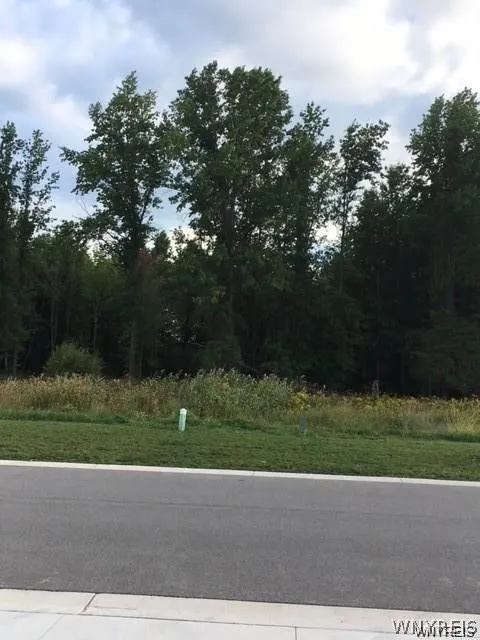Several lots available
