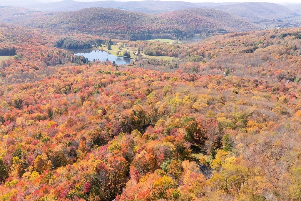 382 Catskill Drive, Bovina, New York 13740, Bovina, New York 13740, 4 Bedrooms Bedrooms, 7 Rooms Rooms,3 BathroomsBathrooms,Residential,For Sale,382 Catskill Drive, Bovina, New York 13740,0,OD134082