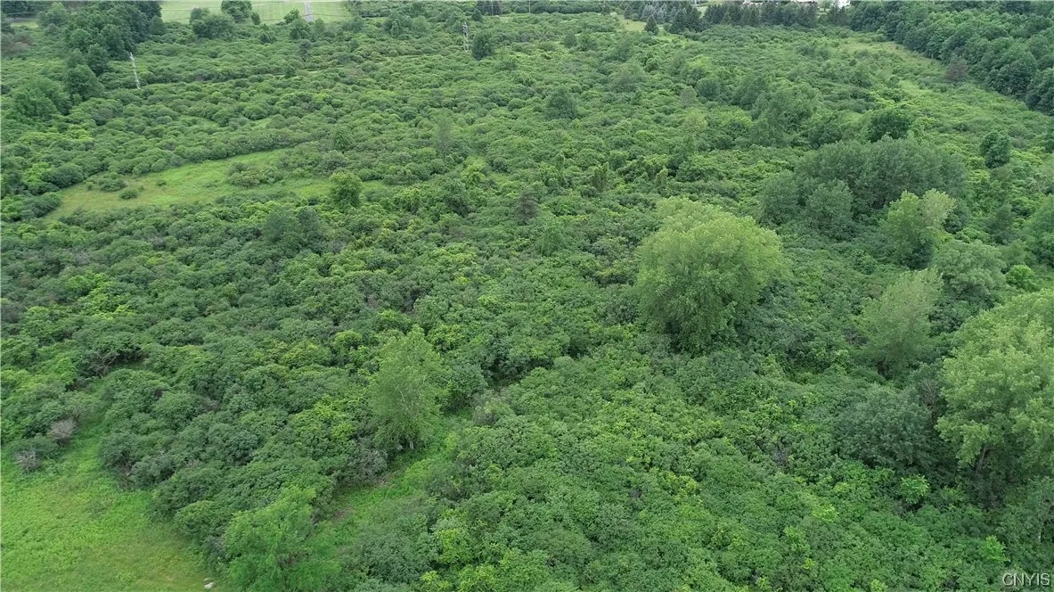 L26.1 Howlett Hill Road, Onondaga, New York 13215, Onondaga, New York 13215, ,Land,For Sale,L26.1 Howlett Hill Road, Onondaga, New York 13215,0,S1461562