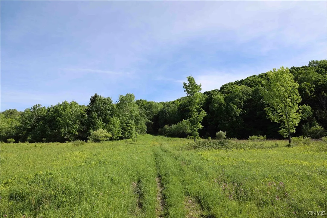 L100 State Route 13, Cuyler, New York 13052, Cuyler, New York 13052, ,Land,For Sale,L100 State Route 13, Cuyler, New York 13052,0,S1464649