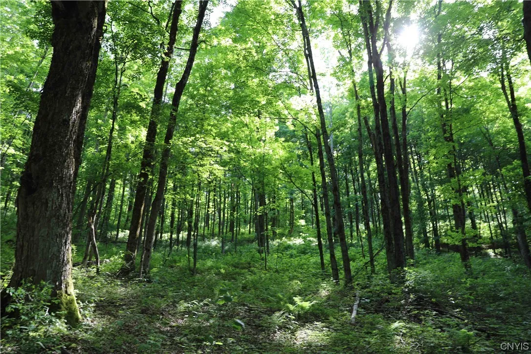 L100 State Route 13, Cuyler, New York 13052, Cuyler, New York 13052, ,Land,For Sale,L100 State Route 13, Cuyler, New York 13052,0,S1464649
