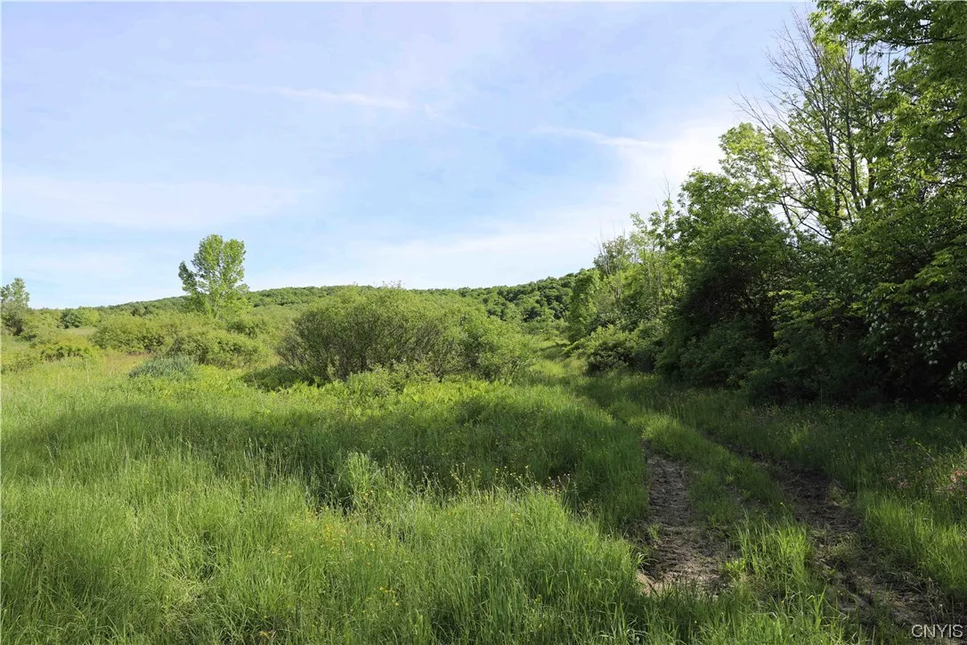 L100 State Route 13, Cuyler, New York 13052, Cuyler, New York 13052, ,Land,For Sale,L100 State Route 13, Cuyler, New York 13052,0,S1464649