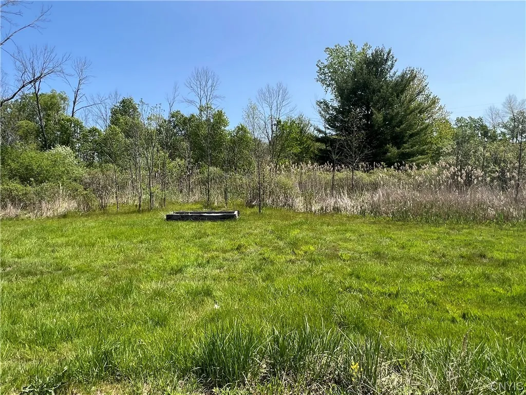 8894 Caughdenoy Road, Clay, New York 13041, Clay, New York 13041, 3 Bedrooms Bedrooms, 6 Rooms Rooms,1 BathroomBathrooms,Residential,For Sale,8894 Caughdenoy Road, Clay, New York 13041,0,S1472105