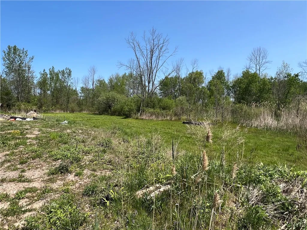 8894 Caughdenoy Road, Clay, New York 13041, Clay, New York 13041, 3 Bedrooms Bedrooms, 6 Rooms Rooms,1 BathroomBathrooms,Residential,For Sale,8894 Caughdenoy Road, Clay, New York 13041,0,S1472105