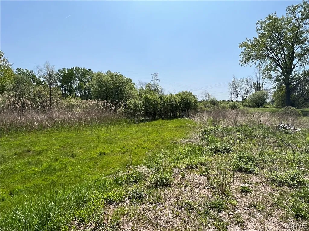 8894 Caughdenoy Road, Clay, New York 13041, Clay, New York 13041, 6 Room Rooms,Commercial Sale,For Sale,8894 Caughdenoy Road, Clay, New York 13041,0,S1472331