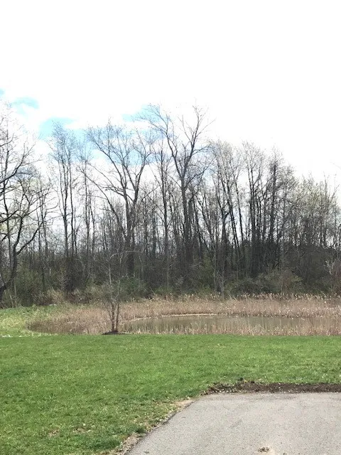 1386 Hathaway Drive, Farmington, New York 14425, Farmington, New York 14425, ,Land,For Sale,1386 Hathaway Drive, Farmington, New York 14425,0,R1474056