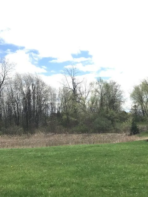 1386 Hathaway Drive, Farmington, New York 14425, Farmington, New York 14425, ,Land,For Sale,1386 Hathaway Drive, Farmington, New York 14425,0,R1474056