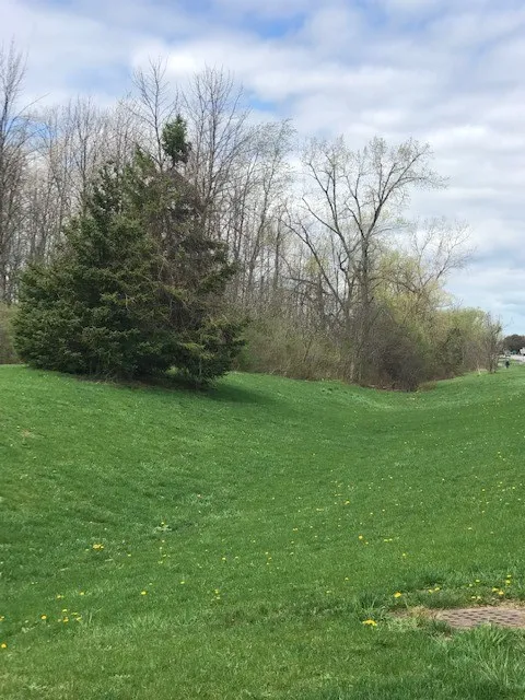 1386 Hathaway Drive, Farmington, New York 14425, Farmington, New York 14425, ,Land,For Sale,1386 Hathaway Drive, Farmington, New York 14425,0,R1474056