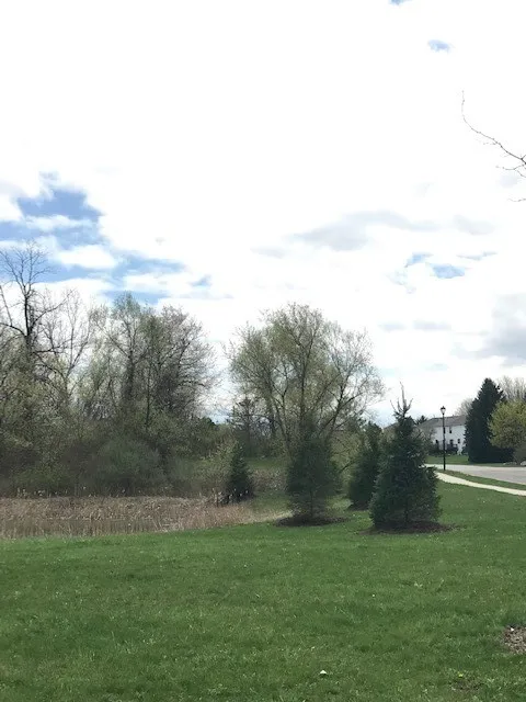 1386 Hathaway Drive, Farmington, New York 14425, Farmington, New York 14425, ,Land,For Sale,1386 Hathaway Drive, Farmington, New York 14425,0,R1474056