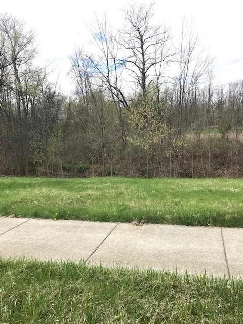 1386 Hathaway Drive, Farmington, New York 14425, Farmington, New York 14425, ,Land,For Sale,1386 Hathaway Drive, Farmington, New York 14425,0,R1474056
