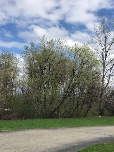1386 Hathaway Drive, Farmington, New York 14425, Farmington, New York 14425, ,Land,For Sale,1386 Hathaway Drive, Farmington, New York 14425,0,R1474056