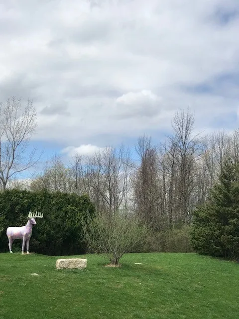 1386 Hathaway Drive, Farmington, New York 14425, Farmington, New York 14425, ,Land,For Sale,1386 Hathaway Drive, Farmington, New York 14425,0,R1474056