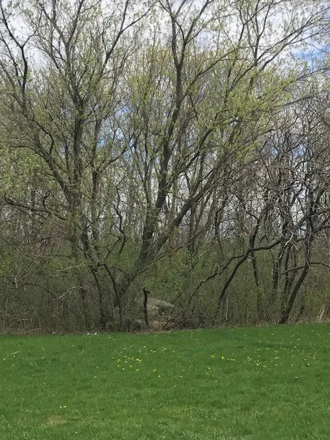 1386 Hathaway Drive, Farmington, New York 14425, Farmington, New York 14425, ,Land,For Sale,1386 Hathaway Drive, Farmington, New York 14425,0,R1474056