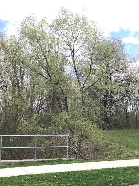 1386 Hathaway Drive, Farmington, New York 14425, Farmington, New York 14425, ,Land,For Sale,1386 Hathaway Drive, Farmington, New York 14425,0,R1474056