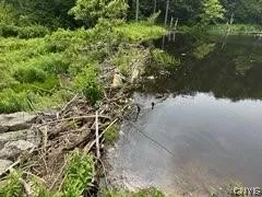 301 Edwards Hill Road, Lisle, New York 13760, Lisle, New York 13760, ,Land,Closed,301 Edwards Hill Road, Lisle, New York 13760,0,S1480288