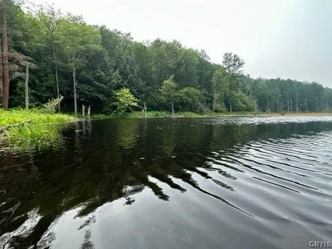 301 Edwards Hill Road, Lisle, New York 13760, Lisle, New York 13760, ,Land,Closed,301 Edwards Hill Road, Lisle, New York 13760,0,S1480288