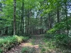 301 Edwards Hill Road, Lisle, New York 13760, Lisle, New York 13760, ,Land,Closed,301 Edwards Hill Road, Lisle, New York 13760,0,S1480288