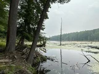 301 Edwards Hill Road, Lisle, New York 13760, Lisle, New York 13760, ,Land,Closed,301 Edwards Hill Road, Lisle, New York 13760,0,S1480288