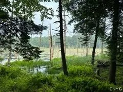 301 Edwards Hill Road, Lisle, New York 13760, Lisle, New York 13760, ,Land,Closed,301 Edwards Hill Road, Lisle, New York 13760,0,S1480288