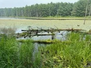 301 Edwards Hill Road, Lisle, New York 13760, Lisle, New York 13760, ,Land,Closed,301 Edwards Hill Road, Lisle, New York 13760,0,S1480288