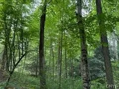 301 Edwards Hill Road, Lisle, New York 13760, Lisle, New York 13760, ,Land,Closed,301 Edwards Hill Road, Lisle, New York 13760,0,S1480288