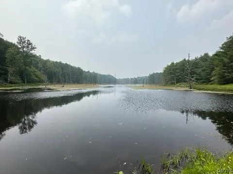 301 Edwards Hill Road, Lisle, New York 13760, Lisle, New York 13760, ,Land,Closed,301 Edwards Hill Road, Lisle, New York 13760,0,S1480288