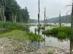 301 Edwards Hill Road, Lisle, New York 13760, Lisle, New York 13760, ,Land,Closed,301 Edwards Hill Road, Lisle, New York 13760,0,S1480288