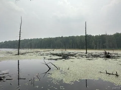 301 Edwards Hill Road, Lisle, New York 13760, Lisle, New York 13760, ,Land,Closed,301 Edwards Hill Road, Lisle, New York 13760,0,S1480288