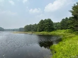 301 Edwards Hill Road, Lisle, New York 13760, Lisle, New York 13760, ,Land,Closed,301 Edwards Hill Road, Lisle, New York 13760,0,S1480288