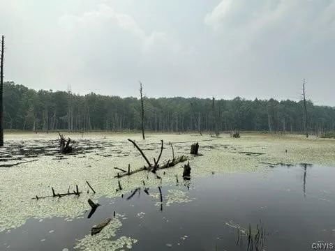 301 Edwards Hill Road, Lisle, New York 13760, Lisle, New York 13760, ,Land,Closed,301 Edwards Hill Road, Lisle, New York 13760,0,S1480288