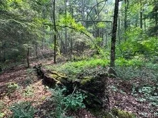 301 Edwards Hill Road, Lisle, New York 13760, Lisle, New York 13760, ,Land,Closed,301 Edwards Hill Road, Lisle, New York 13760,0,S1480288