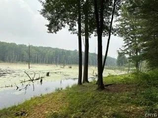 301 Edwards Hill Road, Lisle, New York 13760, Lisle, New York 13760, ,Land,Closed,301 Edwards Hill Road, Lisle, New York 13760,0,S1480288