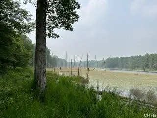 301 Edwards Hill Road, Lisle, New York 13760, Lisle, New York 13760, ,Land,Closed,301 Edwards Hill Road, Lisle, New York 13760,0,S1480288