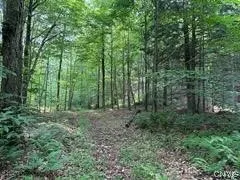 301 Edwards Hill Road, Lisle, New York 13760, Lisle, New York 13760, ,Land,Closed,301 Edwards Hill Road, Lisle, New York 13760,0,S1480288