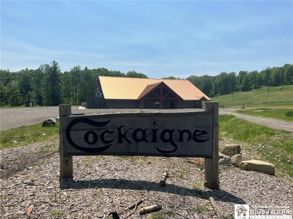 1493 Thornton Road, Cherry Creek, New York 14723, Cherry Creek, New York 14723, ,Commercial Sale,For Sale,1493 Thornton Road, Cherry Creek, New York 14723,0,R1481355