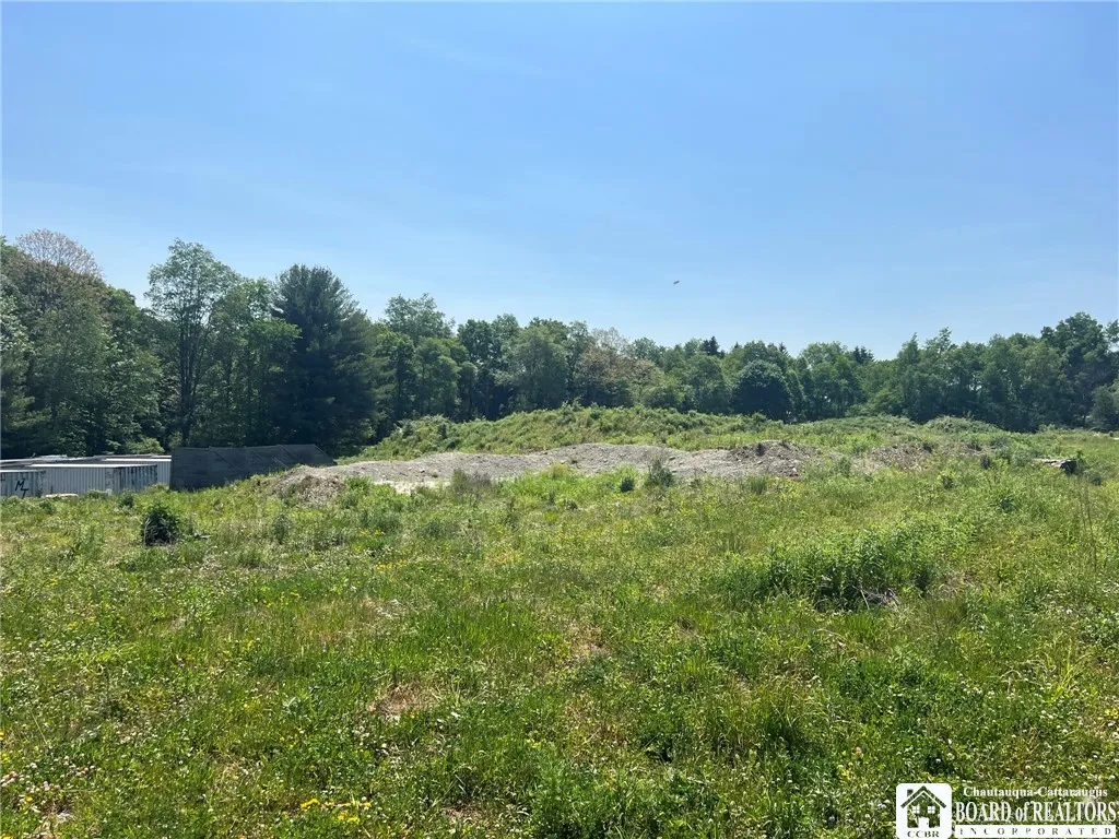 1493 Thornton Road, Cherry Creek, New York 14723, Cherry Creek, New York 14723, ,Commercial Sale,For Sale,1493 Thornton Road, Cherry Creek, New York 14723,0,R1481355