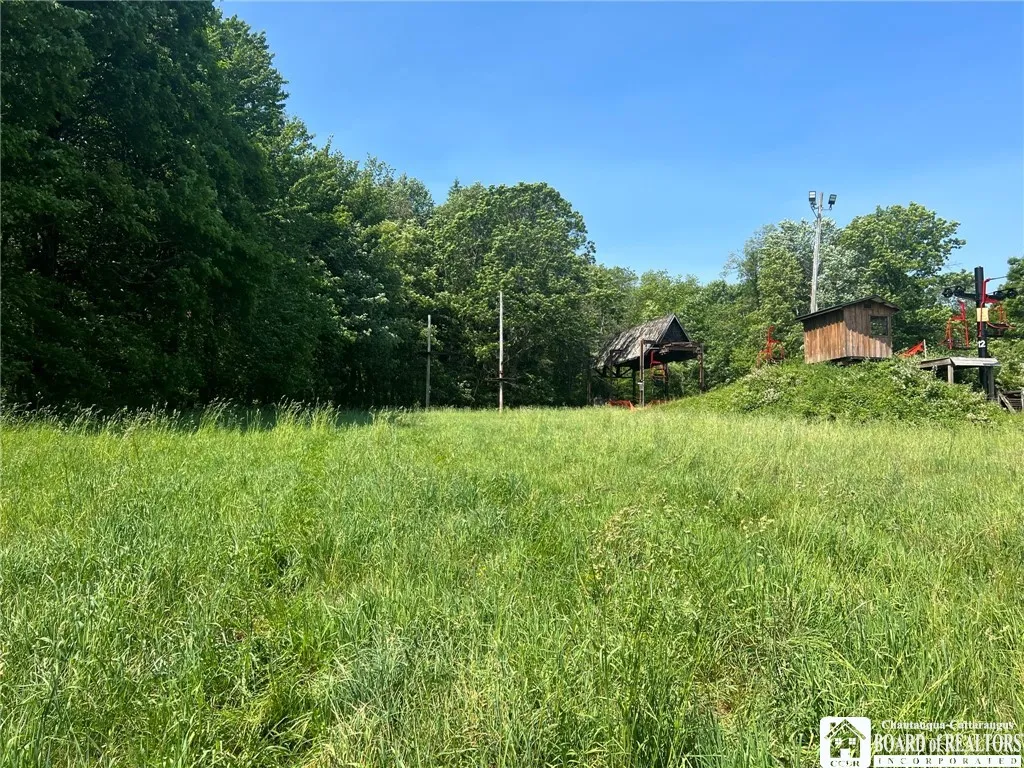 1493 Thornton Road, Cherry Creek, New York 14723, Cherry Creek, New York 14723, ,Commercial Sale,For Sale,1493 Thornton Road, Cherry Creek, New York 14723,0,R1481355