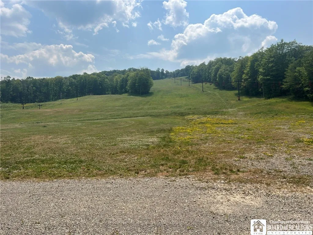 1493 Thornton Road, Cherry Creek, New York 14723, Cherry Creek, New York 14723, ,Commercial Sale,For Sale,1493 Thornton Road, Cherry Creek, New York 14723,0,R1481355