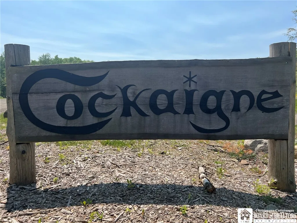 1493 Thornton Road, Cherry Creek, New York 14723, Cherry Creek, New York 14723, ,Commercial Sale,For Sale,1493 Thornton Road, Cherry Creek, New York 14723,0,R1481355