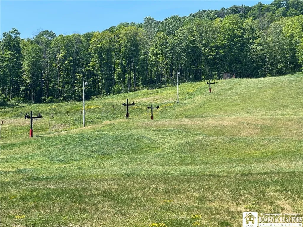 1493 Thornton Road, Cherry Creek, New York 14723, Cherry Creek, New York 14723, ,Commercial Sale,For Sale,1493 Thornton Road, Cherry Creek, New York 14723,0,R1481355