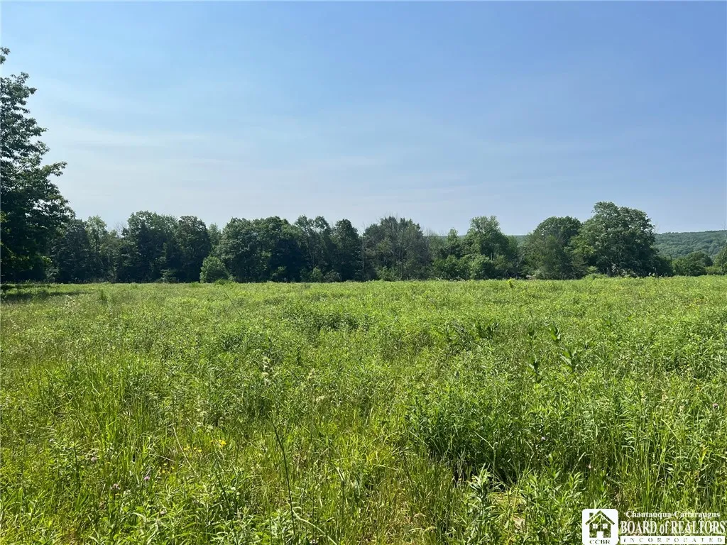 1493 Thornton Road, Cherry Creek, New York 14723, Cherry Creek, New York 14723, ,Commercial Sale,For Sale,1493 Thornton Road, Cherry Creek, New York 14723,0,R1481355