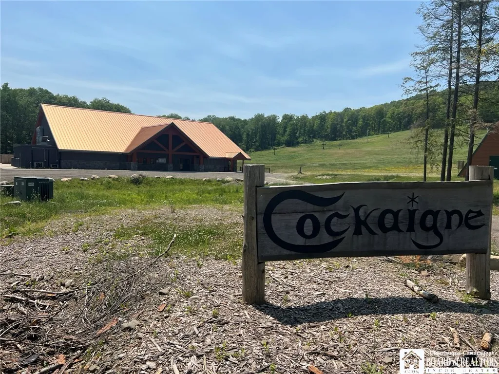 1493 Thornton Road, Cherry Creek, New York 14723, Cherry Creek, New York 14723, ,Commercial Sale,For Sale,1493 Thornton Road, Cherry Creek, New York 14723,0,R1481355