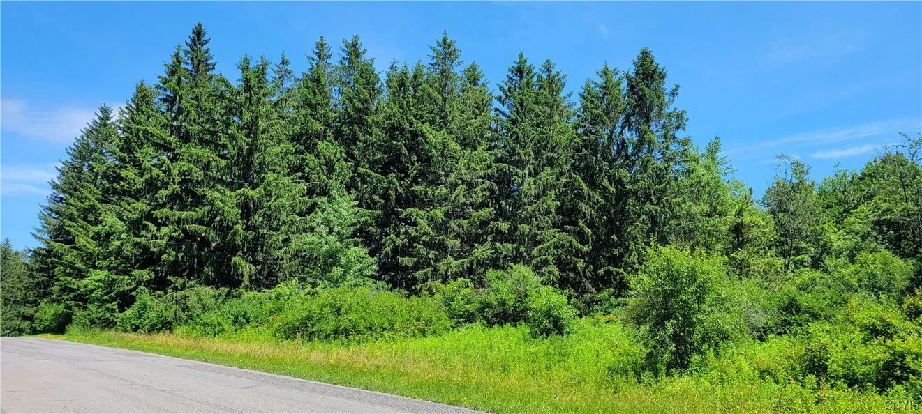 Lot 4 Canyonwood.