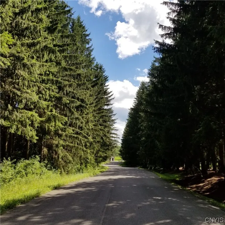 Lot 4 Canyonwood Lane, Pompey, New York 13078, Pompey, New York 13078, ,Land,Closed,Lot 4 Canyonwood Lane, Pompey, New York 13078,0,S1486122